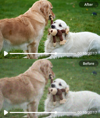 swap face example