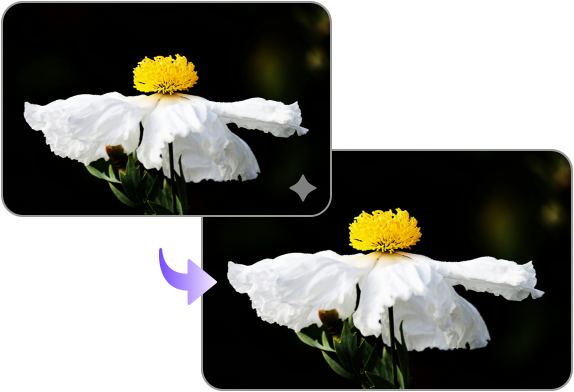instantly remove object with ai